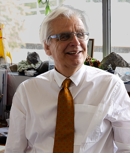 Image of Professor John Mavrogenes, Member