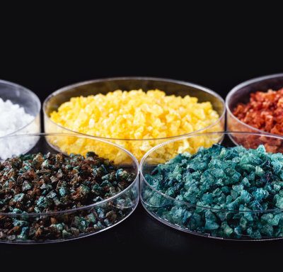 REE-In-Petrie-Dish REE-In-Petrie-Dish